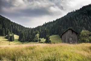 vallebiancasiagoit azienda la nostra produzione